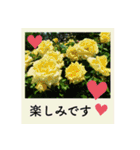 ポラロイド風 花と景色の写真スタンプ（個別スタンプ：16）