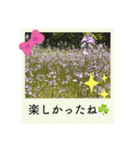 ポラロイド風 花と景色の写真スタンプ（個別スタンプ：17）