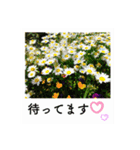 ポラロイド風 花と景色の写真スタンプ（個別スタンプ：20）