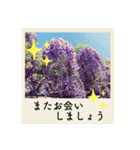 ポラロイド風 花と景色の写真スタンプ（個別スタンプ：22）
