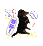 うきょきょのつぶやき・仲間たち4（個別スタンプ：1）