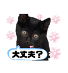 うきょきょのつぶやき・仲間たち4（個別スタンプ：7）