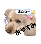 うきょきょのつぶやき・仲間たち4（個別スタンプ：8）