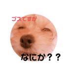 結ちゃんの気分（個別スタンプ：4）
