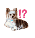 結ちゃんの気分（個別スタンプ：5）