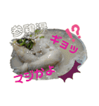 世界の色んな食べ物第2弾（個別スタンプ：6）
