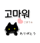 毎日使える韓国語スタンプ かわいい黒猫（個別スタンプ：8）