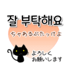 毎日使える韓国語スタンプ かわいい黒猫（個別スタンプ：11）