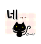 毎日使える韓国語スタンプ かわいい黒猫（個別スタンプ：13）