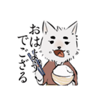 侍犬 しろ（個別スタンプ：1）