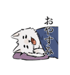 侍犬 しろ（個別スタンプ：2）