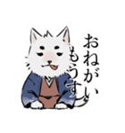 侍犬 しろ（個別スタンプ：11）