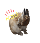 ビビビのビット❤︎（個別スタンプ：1）