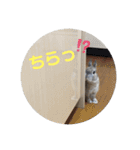 ビビビのビット❤︎（個別スタンプ：7）