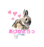 ビビビのビット❤︎（個別スタンプ：11）