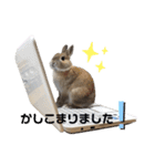 ビビビのビット❤︎（個別スタンプ：12）