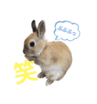 ビビビのビット❤︎（個別スタンプ：13）