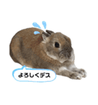 ビビビのビット❤︎（個別スタンプ：15）