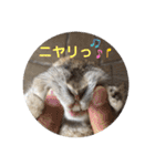ビビビのビット❤︎（個別スタンプ：16）