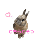 ビビビのビット❤︎（個別スタンプ：18）