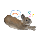 ビビビのビット❤︎（個別スタンプ：19）