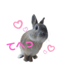 ビビビのビット❤︎（個別スタンプ：20）