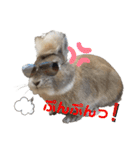 ビビビのビット❤︎（個別スタンプ：21）