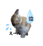 ビビビのビット❤︎（個別スタンプ：23）