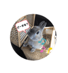 ビビビのビット❤︎（個別スタンプ：24）