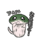 もふもふしいたけ☆ 毎日使える！（個別スタンプ：38）