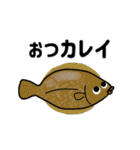 毎日！海の生き物（個別スタンプ：7）