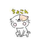 うれしいこねこ（個別スタンプ：25）