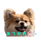 コレン（個別スタンプ：6）