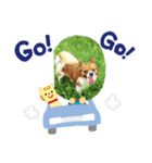 パピヨン、りんくん（個別スタンプ：6）