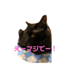 うちのネゴ（個別スタンプ：5）