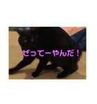 うちのネゴ（個別スタンプ：6）