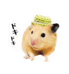 おしゃべりハムスター（個別スタンプ：22）