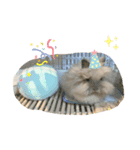 うさぎのコトンうさぎスタンプ（個別スタンプ：3）