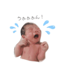 のあたろう。1（個別スタンプ：29）