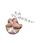 のあたろう。1（個別スタンプ：33）