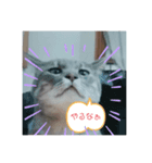 うちのムートン君（個別スタンプ：6）
