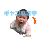 ここちゃんの日常スタンプ（個別スタンプ：14）