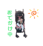 ここちゃんの日常スタンプ（個別スタンプ：32）
