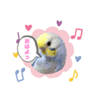 インコのれいじろう2（個別スタンプ：6）