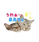 タルトと羽玖（個別スタンプ：8）