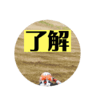 モトクロスKID（個別スタンプ：7）