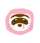 フェレットフェイス カラーパターン（個別スタンプ：1）