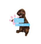 ELUMO STAMP（個別スタンプ：3）