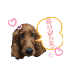 ELUMO STAMP（個別スタンプ：5）