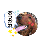 ELUMO STAMP（個別スタンプ：9）